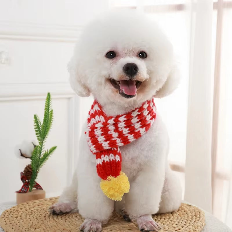 Winter Knitted Pet Scarf 