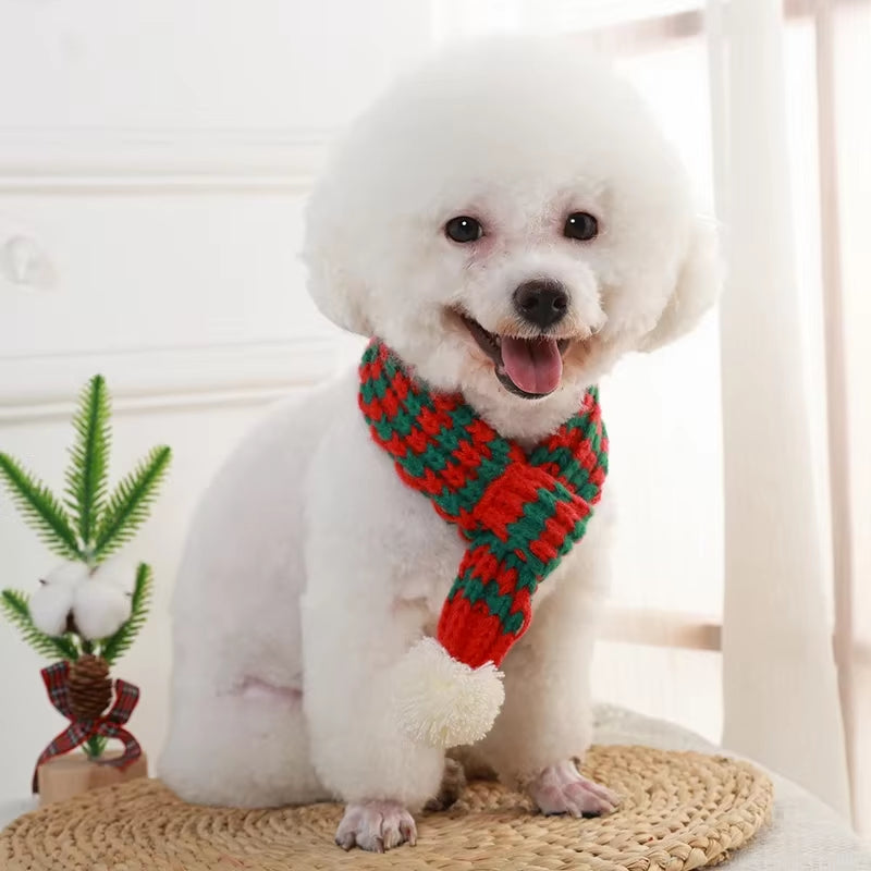 Winter Knitted Pet Scarf 